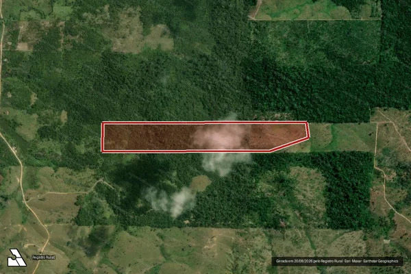 Imagem de satélite de Infração da Flora em Pacajá - PA