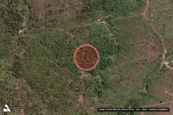 Imagem de satélite de Infração Ambiental em Novo Progresso - PA