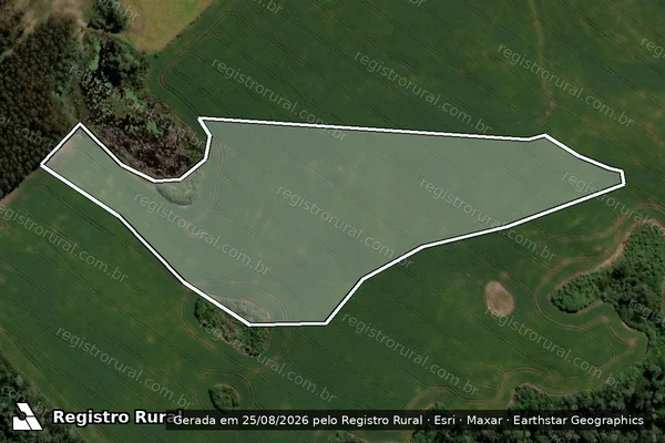 Imagem de satélite de Infração da Flora em Pinhão - PR