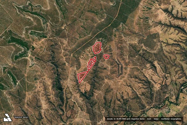 Imagem de satélite de Infração da Flora em Ibiaí - MG
