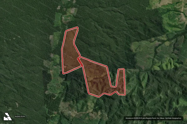 Imagem de satélite de Infração da Flora em Placas - PA