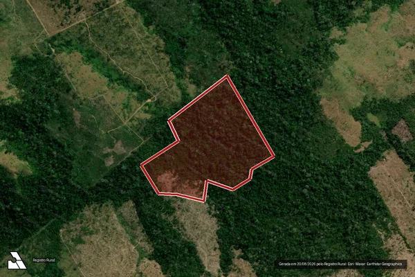 Imagem de satélite de Infração da Flora em Aripuanã - MT