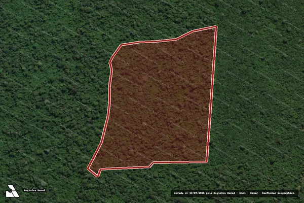 Imagem de satélite de Infração da Flora em Mojuí dos Campos - PA