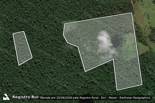 Imagem de satélite de Infração da Flora em Altamira - PA