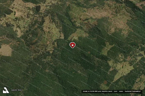 Imagem de satélite de Infração da Flora em Timbó Grande - SC (marcador da localização)