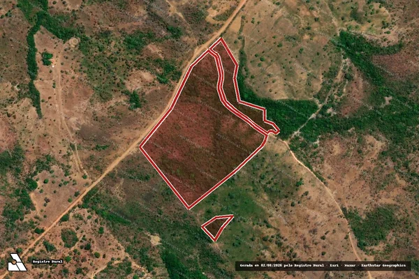 Imagem de satélite de Infração da Flora em Goiatins - TO