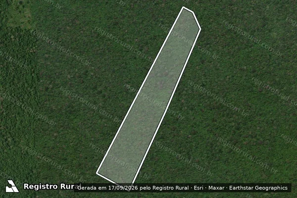 Imagem de satélite — Embargo IBAMA — Infração Ambiental - São João da Baliza/RR