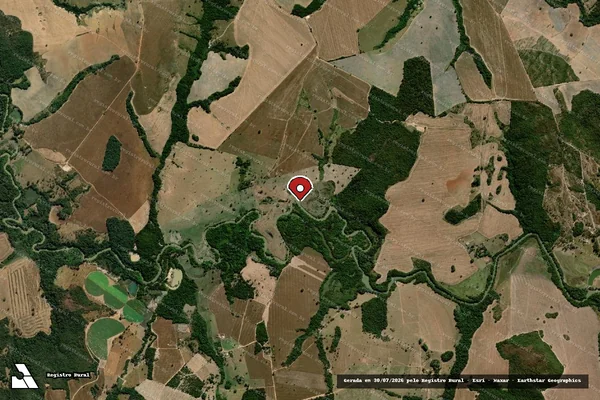 Imagem de satélite de Infração Ambiental em Orizona - GO (marcador da localização)