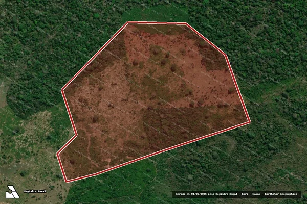 Imagem de satélite — Embargo IBAMA — Infração Ambiental - Autazes/AM