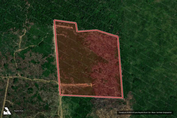 Imagem de satélite de Infração da Flora em Lábrea - AM