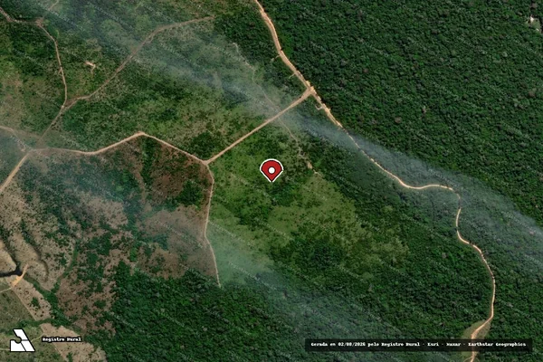 Imagem de satélite de Infração Ambiental em Novo Progresso - PA (marcador da localização)