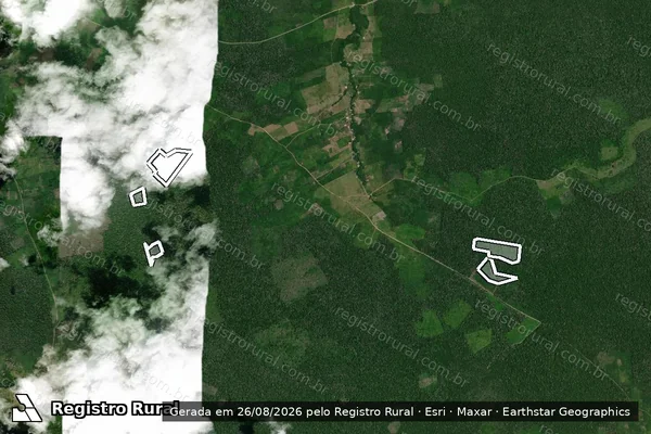 Imagem de satélite de Infração da Flora em Prainha - PA