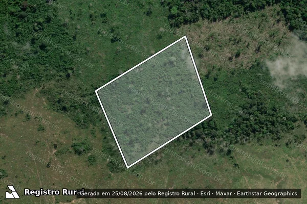 Imagem de satélite de Infração Ambiental em Lábrea - AM