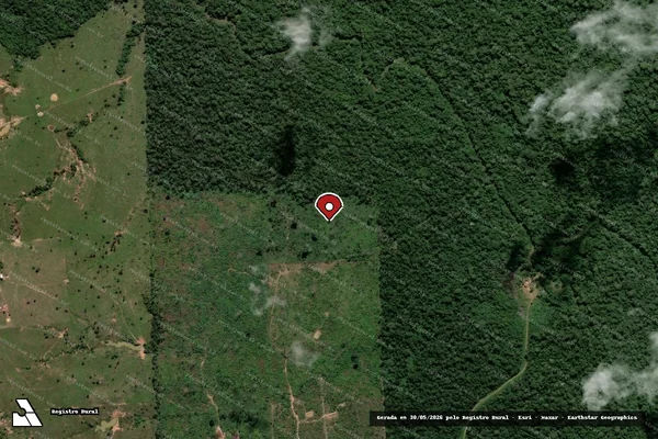 Imagem de satélite — Embargo IBAMA — Infração da Flora — Porto Velho/RO