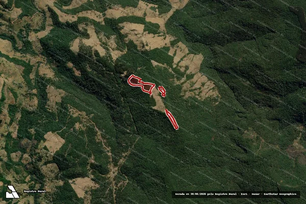 Imagem de satélite — Embargo IBAMA — Infração da Flora - Coronel Domingos Soares/PR