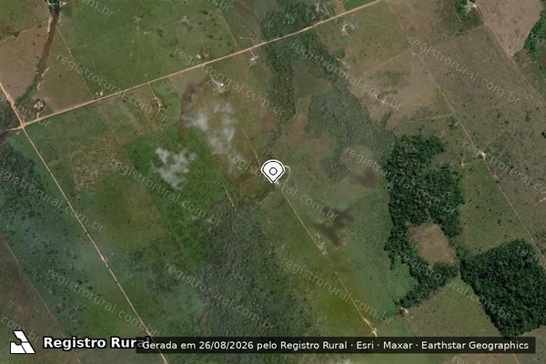 Imagem de satélite de Infração da Flora em Novo Progresso - PA (marcador da localização)