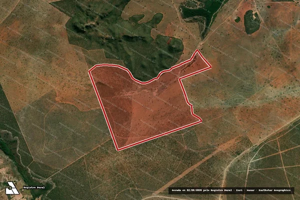Imagem de satélite de Infração da Flora em Posse - GO