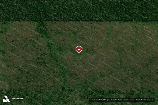 Imagem de satélite de Infração da Flora em Colniza - MT (marcador da localização)