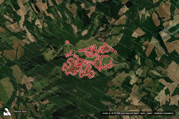 Imagem de satélite de Infração da Flora em Prudentópolis - PR