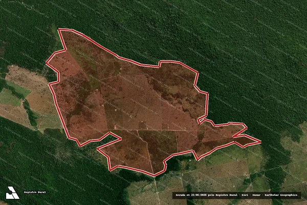 Imagem de satélite de Infração da Flora em Nova Bandeirantes - MT
