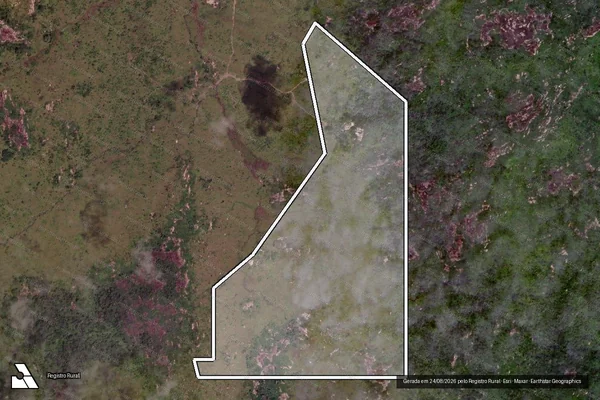 Imagem de satélite de Infração da Flora em Novo Progresso - PA