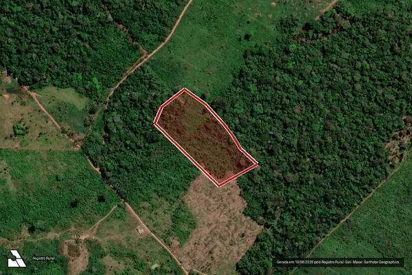 Imagem de satélite de Infração da Flora em Apuí - AM