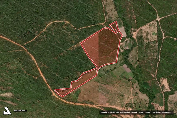 Imagem de satélite de Infração da Flora em Berizal - MG