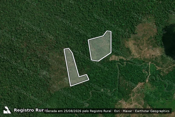 Imagem de satélite de Infração da Flora em Uruará - PA