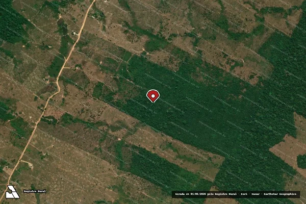 Imagem de satélite de Infração da Flora em Machadinho D'Oeste - RO (marcador da localização)