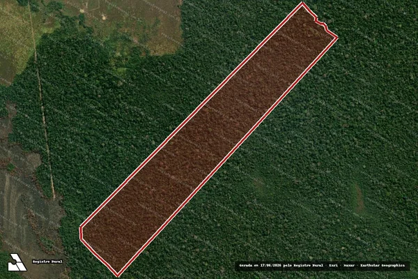 Imagem de satélite de Infração da Flora em Canutama - AM