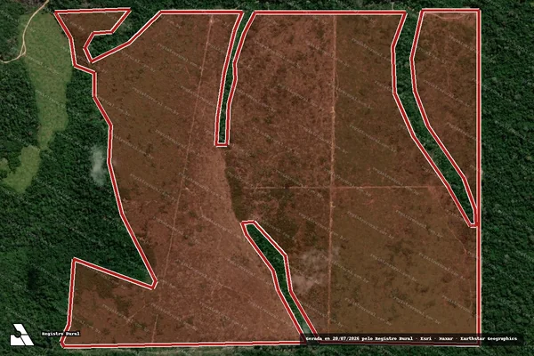 Imagem de satélite de Infração da Flora em Colniza - MT