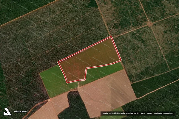 Imagem de satélite de Infração da Flora em Nova Maringá - MT