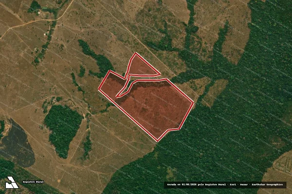 Imagem de satélite — Embargo IBAMA — Infração da Flora - Aripuanã/MT