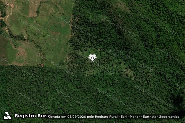 Imagem de satélite de Infração Ambiental em São Félix do Xingu - PA (marcador da localização)