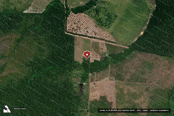 Imagem de satélite de Infração da Flora em Porto Velho - RO (marcador da localização)