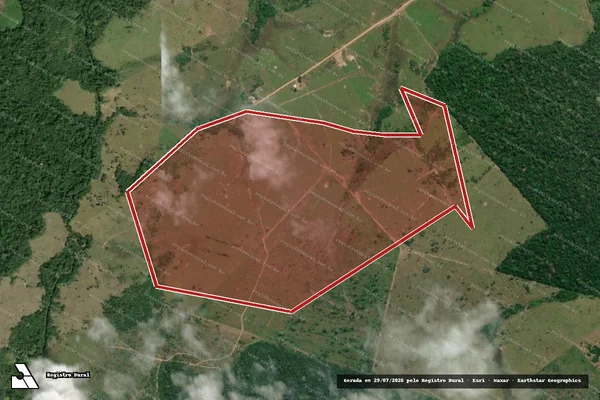 Imagem de satélite de Infração Ambiental em Mucajaí - RR