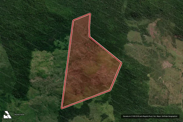 Imagem de satélite de Infração da Flora em São Félix do Xingu - PA
