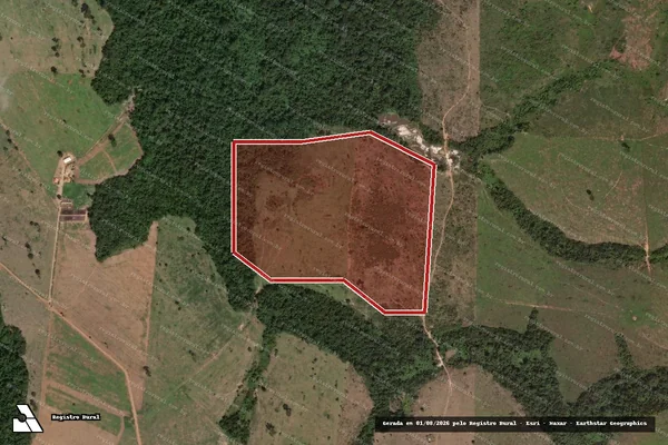 Imagem de satélite de Infração Ambiental em Novo Progresso - PA