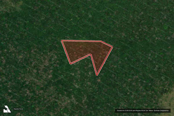Imagem de satélite de Infração da Flora em Novo Aripuanã - AM