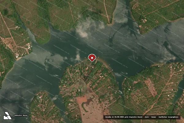 Imagem de satélite de Infração Ambiental em Porto Nacional - TO (marcador da localização)
