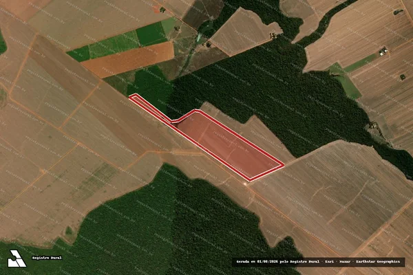 Imagem de satélite de Infração da Flora em Tapurah - MT