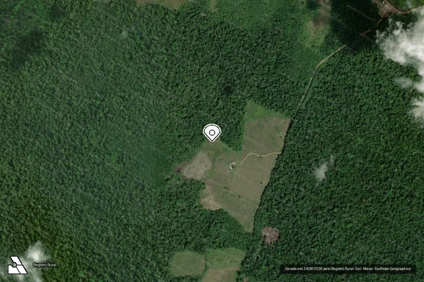 Imagem de satélite de Desmatamento em Tartarugalzinho - AP (marcador da localização)