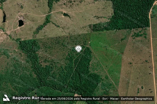 Imagem de satélite de Infração da Flora em Porto Velho - RO (marcador da localização)