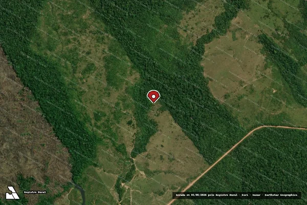 Imagem de satélite de Infração Ambiental em Apuí - AM (marcador da localização)