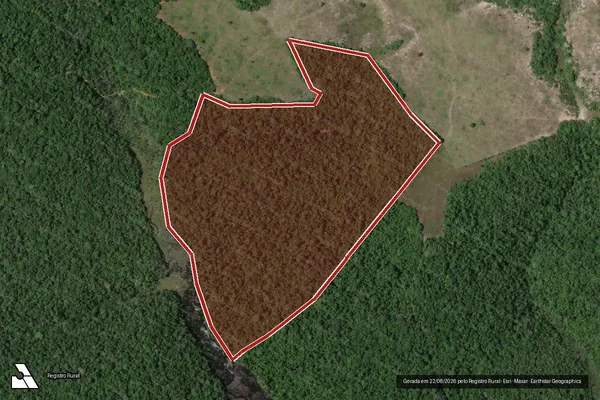Imagem de satélite de Infração Ambiental em Santa Cruz Cabrália - BA