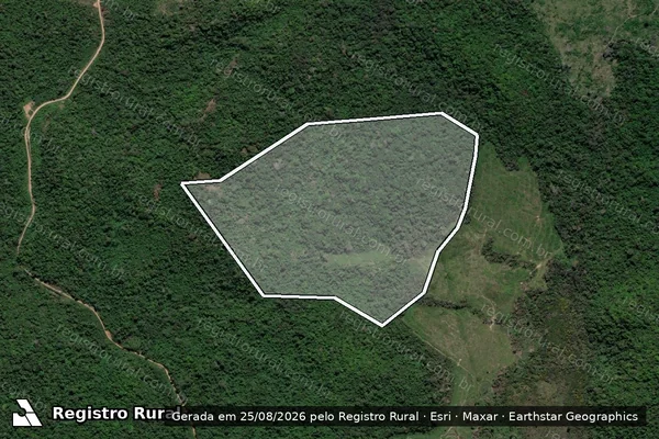 Imagem de satélite de Desmatamento em São Félix do Xingu - PA