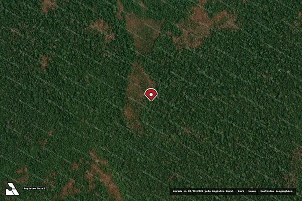 Imagem de satélite de Infração Ambiental em Brasília - DF (marcador da localização)
