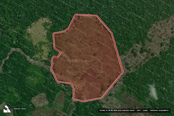 Imagem de satélite — Embargo Ambiental — Autazes/AM