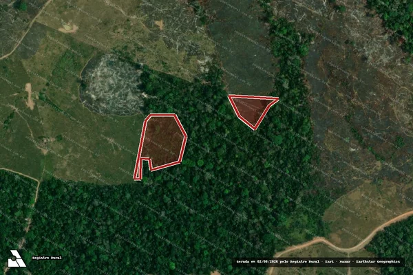 Imagem de satélite de Infração da Flora em Feijó - AC