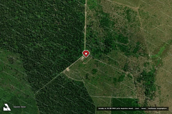 Imagem de satélite — Embargo IBAMA — Infração da Flora - Buritis/RO